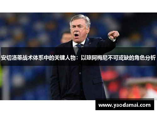 安切洛蒂战术体系中的关键人物：以琼阿梅尼不可或缺的角色分析