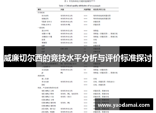 威廉切尔西的竞技水平分析与评价标准探讨