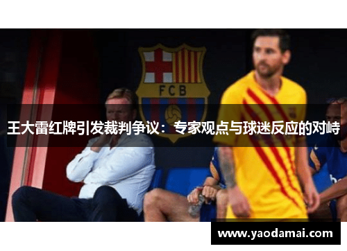 王大雷红牌引发裁判争议：专家观点与球迷反应的对峙