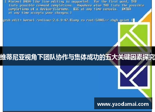 维蒂尼亚视角下团队协作与集体成功的五大关键因素探究